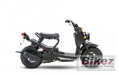 2019 Honda Ruckus