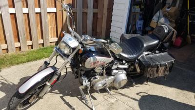 76 Harley-Davidson FXE 1200 Super Glide