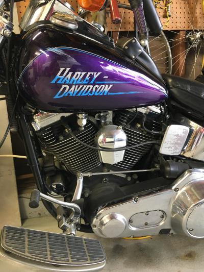 88 Harley-Davidson FXSTC 1340 Softail Custom