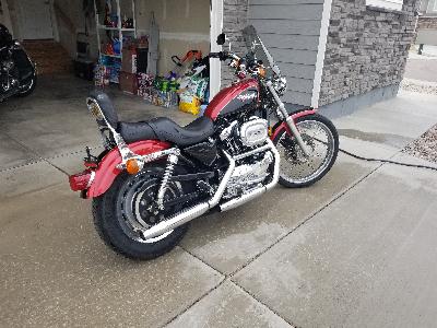 98 Harley-Davidson 1200 Sportster Custom