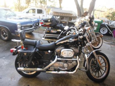 03 Harley-Davidson XL 1200C Sportster 1200 Custom